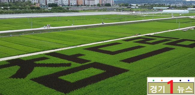 경기도 농업기술원, 참드림논.jpg