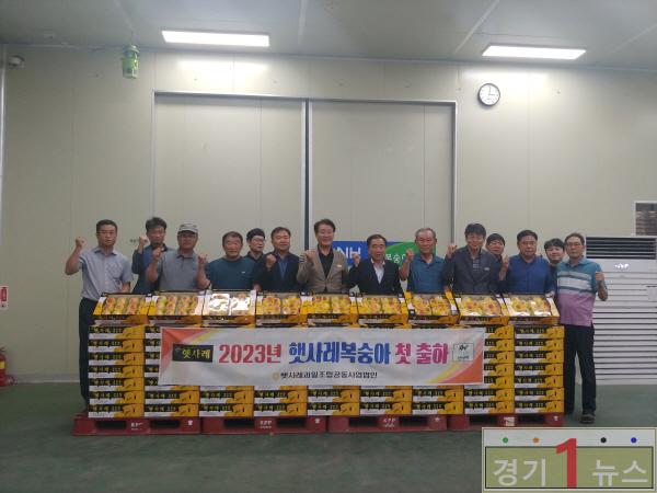 이천, 2023년 햇사레 복숭아 첫 출하 기념행사.jpg